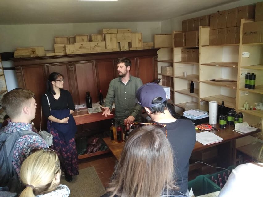 Chianti Organic wine tasting - Inside the winery: the cellar visit and the organic approach