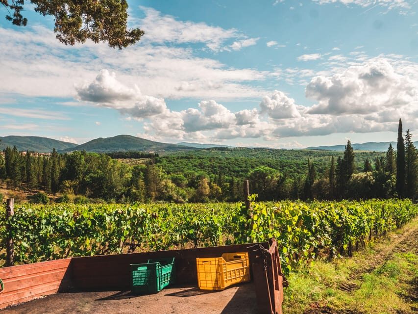 Chianti Organic wine tasting - Break time in the garden and at home: comfortable pacing for 2.5 hours