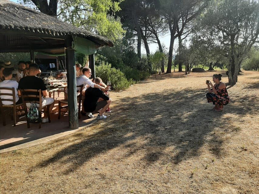 Chianti Organic wine tasting - Vineyard-to-cellar context: what Federico, Raimondo, and Riccardo bring