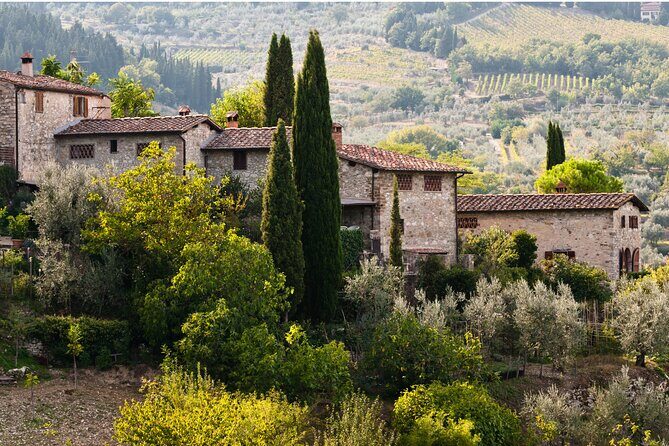 Chianti Region and San Gimignano including wine tasting and light lunch - Who This Day Trip Fits Best