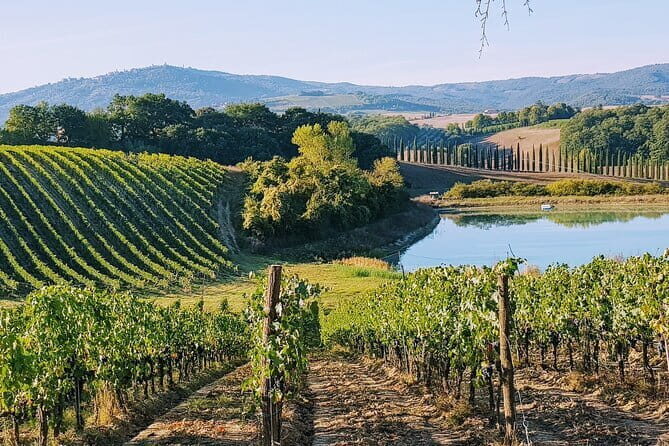 Chianti, San Gimignano and Siena Full Day Trip with Wine Tastings - Optional lunch in Piazza del Campo: worth it, or a surprise cost?