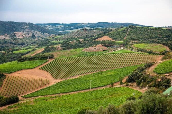 Chianti, San Gimignano and Siena Full Day Trip with Wine Tastings - Price and value: what you’re really paying for