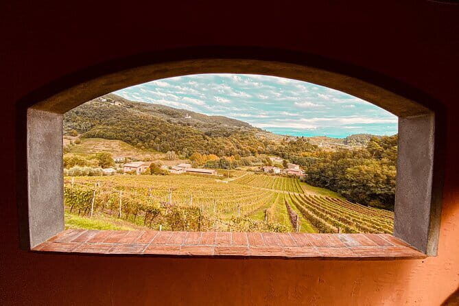 Chianti & Supertuscan Private Tour 2 Wineries with light lunch - Lunch in Chianti: Light, Local, and Built Around Wine