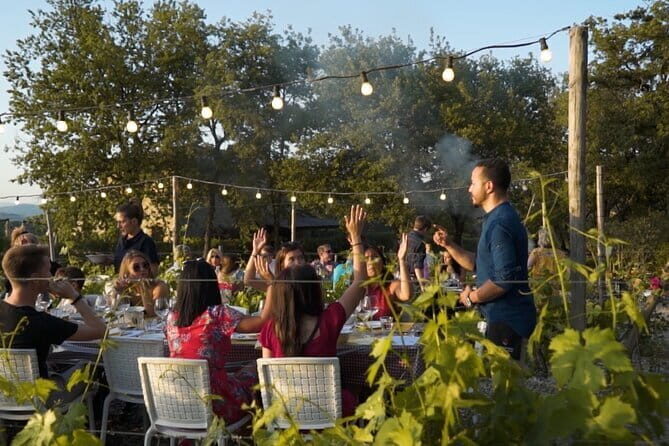 Chianti vineyards: Small-Group tour with wine tasting & Dinner - How the Four-Course Dinner Builds (and What You’ll Actually Eat)