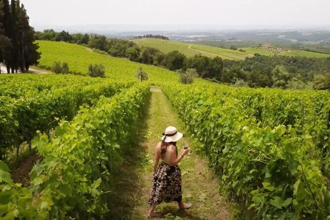 Chianti vineyards: Small-Group tour with wine tasting & Dinner - The Winery Walk: Chapel Stop, Estate Tastings, and the Reason for the Tour