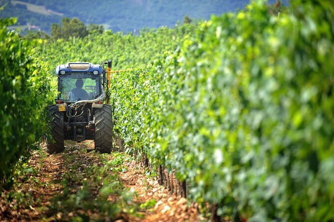 Chianti Vineyards Tours in Private Luxury Van from Florence - Key Highlights You’ll Feel Immediately