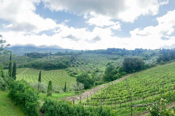 Chianti Vineyards Tours in Private Luxury Van from Florence - San Casciano in Val di Pesa and l’Apparita’s Garden Setting