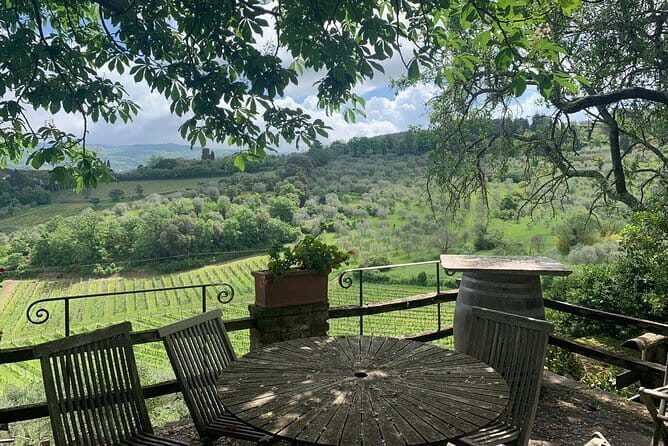 Chianti Vineyards Tours in Private Luxury Van from Florence - What Upfront Costs You Should Expect (Wine Tasting and Lunch)