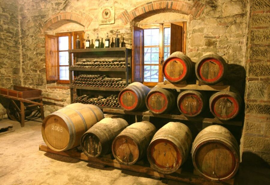 Chianti: Wine and Olive Oil Tasting with Cellar Tour - The Tasting: Local Wines, Extra-Virgin Olive Oil, and Food Pairings