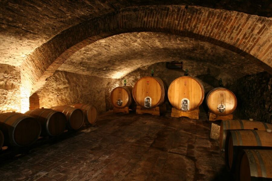 Chianti: Wine and Olive Oil Tasting with Cellar Tour - Meeting at Fattoria Santo Stefano (and Getting Set Up Fast)