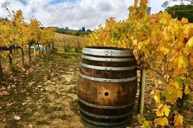 Chianti Wine and Vinci half day Small Group Tour from Lucca - Chianti and Vinci highlights at a glance