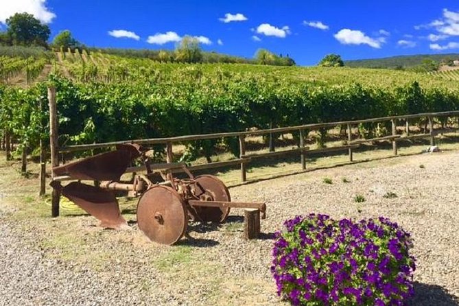 Chianti Wine and Vinci half day Small Group Tour from Lucca - The Holy Cross Church stop: what you should notice