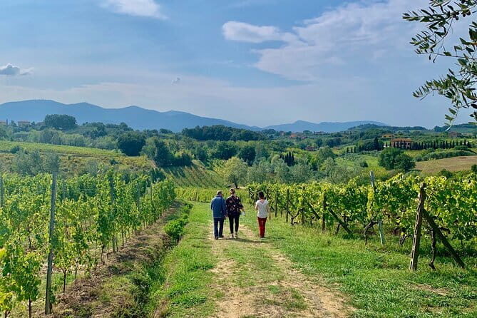 Chianti Wine Tasting Tour from Florence (2 Wineries) - Stop 1: Tuscany roads, camera time, and expert driving
