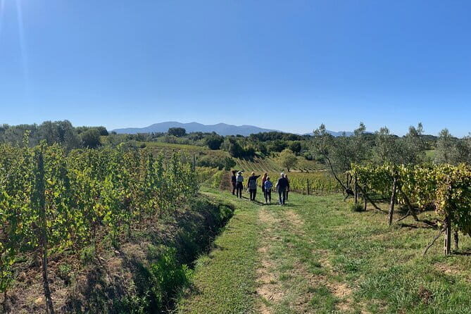 Chianti Wine Tasting Tour from Florence (2 Wineries) - Timing and flow: an 8-hour day that doesn’t feel rushed