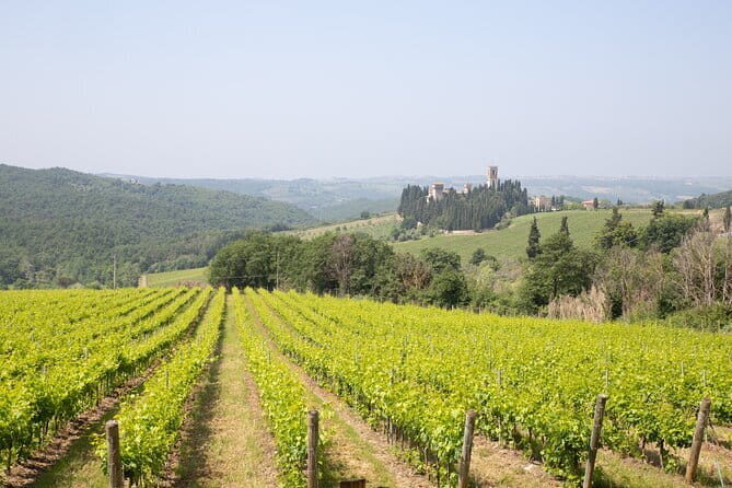 Chianti Wine Tastings Day Trip at Sunset from Florence - Greve in Chianti and Montefioralle: quick stops that set the tone