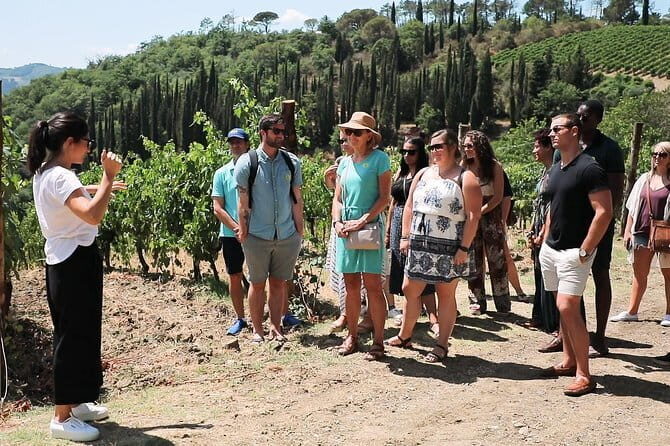 Chianti Wine Tour from Florence - Second Winery in the Sienese Chianti Classico Area: Vineyard Walk and Aromatic Garden