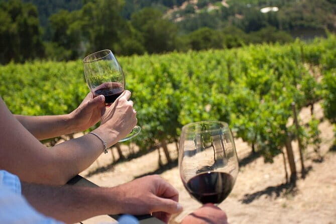 Chianti Wine Tour from Florence - Group Size, Languages, and Pacing: When It Can Feel Smooth or Slightly Chaotic