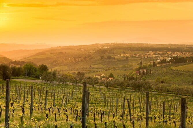 Chianti Wine Tour from Florence to San Gimignano with 2 Wineries - Farm Sant’Appiano: Where the Wine Starts