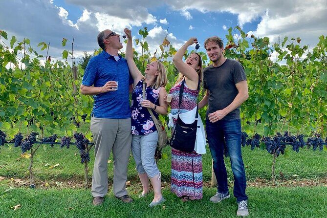 Chianti Wine Tour in Tuscany from Florence - The real appeal: a Chianti day that doesn’t feel like a factory line