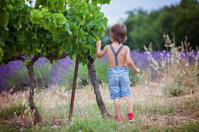 Chianti Wine Tour in Tuscany from Florence - Morning start in Florence: Via Curtatone and an easy 9:00 am rhythm