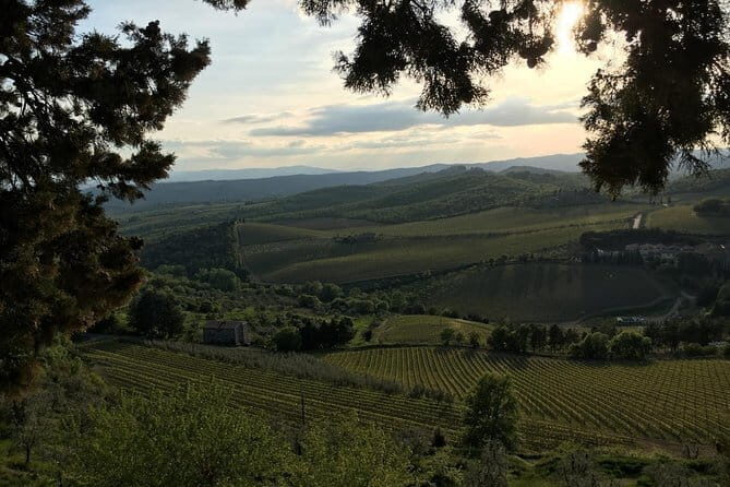 Chianti Wine Tour - Private Wine experience in Tuscany Countryside - Pricing and value: is $757.48 per person worth it?