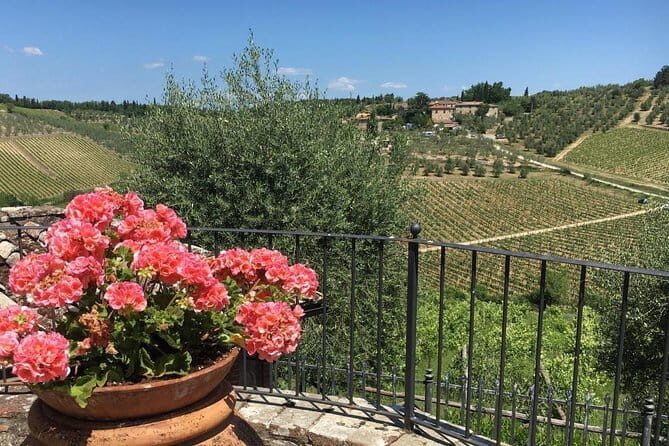 Chianti Wine Tour - Private Wine experience in Tuscany Countryside - Montefioralle: a walled castle village stop that keeps the day fun