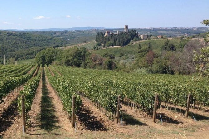 Chianti Wine Tour - Private Wine experience in Tuscany Countryside - Starting in Florence: pickup, comfort, and how the day gets organized