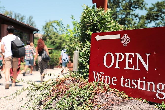 Chianti Wine Tour: Two Wine Tastings, Vineyards and Cellar Visit - Quick Takeaways Before You Go