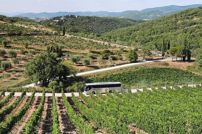 Chianti Wine Tour: Two Wine Tastings, Vineyards and Cellar Visit - Rolling Out From Florence: What the Morning Feels Like