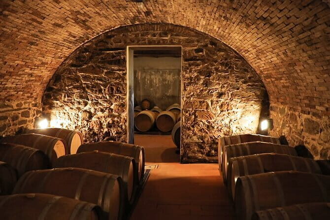 Chianti Wine Tour: Two Wine Tastings, Vineyards and Cellar Visit - Buying Wine and Local Products: What Makes This Worth It