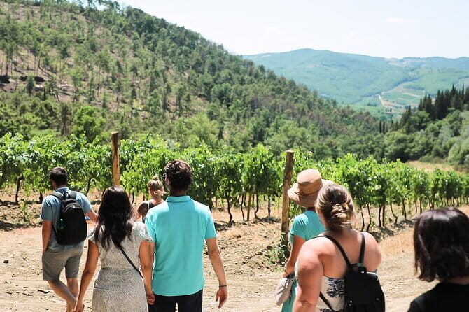 Chianti Wine Tour: Two Wine Tastings, Vineyards and Cellar Visit - Stop 1: Chianti Classico Organic Winery With Owner-Led Tasting