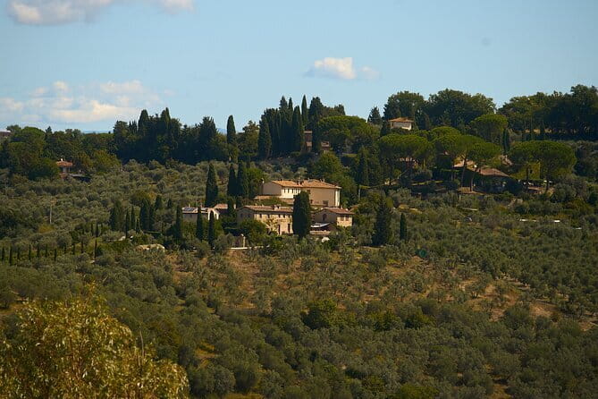 Chianti Wine Tour with Tastings Semi-Private Experience - Stop 1: Castello di Gabbiano for a Classic Estate Start