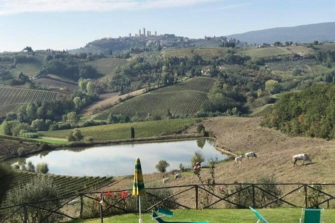 Chianti Wineries Tour with Tuscan Lunch and San Gimignano - The Chianti Country Drive: What to Look For on the Way