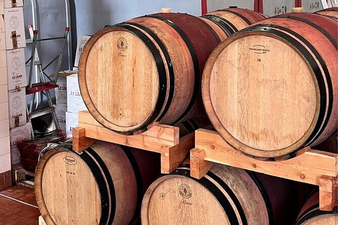 Chianti Winery + Brolio Castle Private Tour - Key highlights at a glance