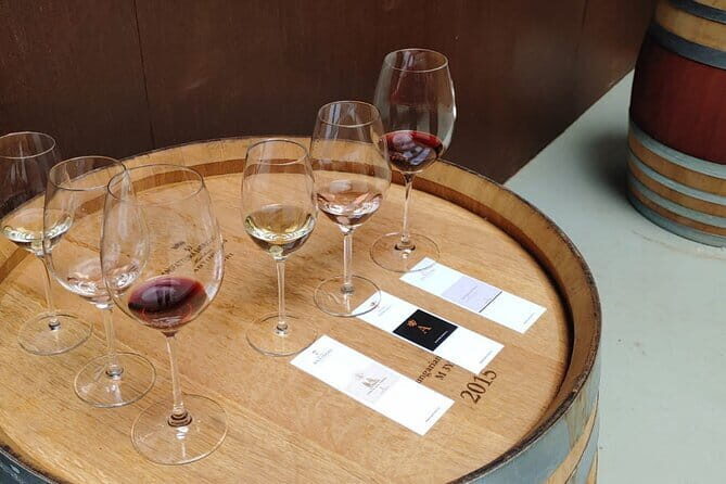 Chianti Winery + Brolio Castle Private Tour - Stop 1: Tenuta Le Lame in San Casciano in Val di Pesa