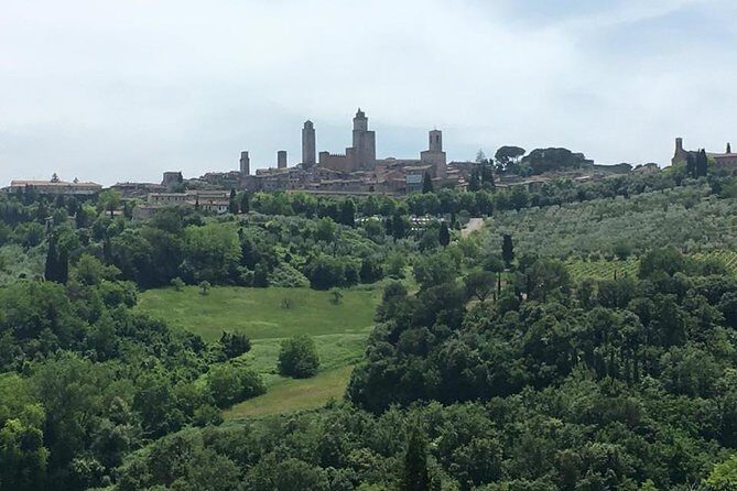 Chianti Wines and San Gimignano Tour from Florence (1 Winery) - San Gimignano for One Hour: Souvenirs, Gelato, and a Clean Taste of the Town