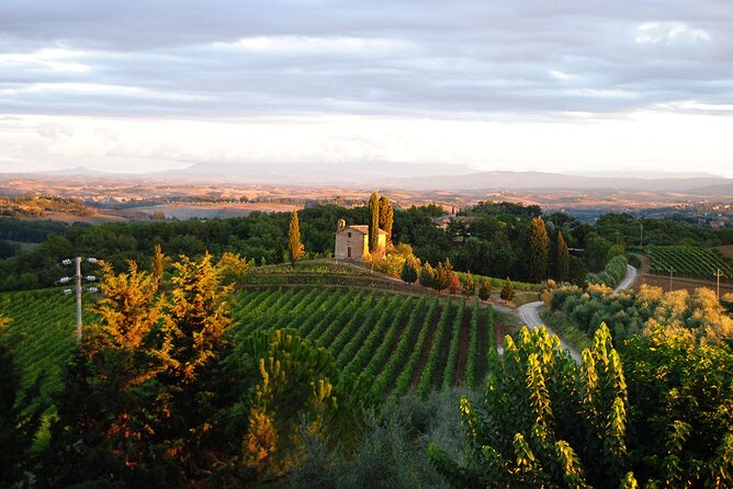 "CLASSIC" Wine Tasting and Typical Tuscan Products - Where the Classic Tasting Starts in Siena