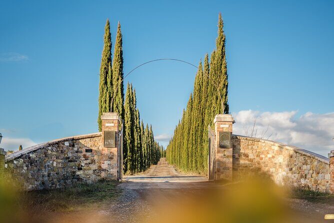 Classic Wine Tasting in Montalcino - Who This Tasting Fits Best