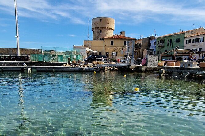 Daily excursions and guaranteed fun in Argentario - Giannutri’s Spalmatoio and Cala Maestra: wild-feeling coves with fish activity