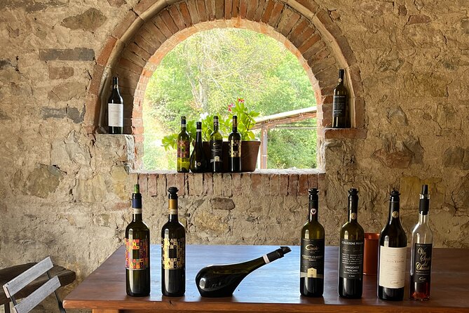Discover Chianti Classico Wines DiWine Experience - Chianti Classico day trip from Siena: what you’re really paying for