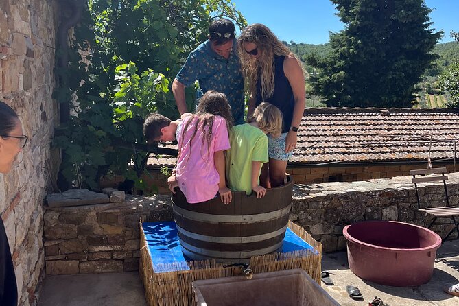 Discover Chianti Classico Wines DiWine Experience - Three winery visits and tastings: how to taste with a purpose