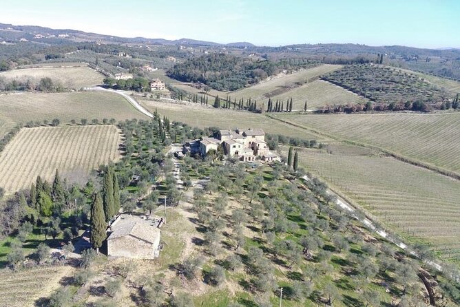 Discover Chianti Classico Wines DiWine Experience - The small-group advantage: less waiting, more questions