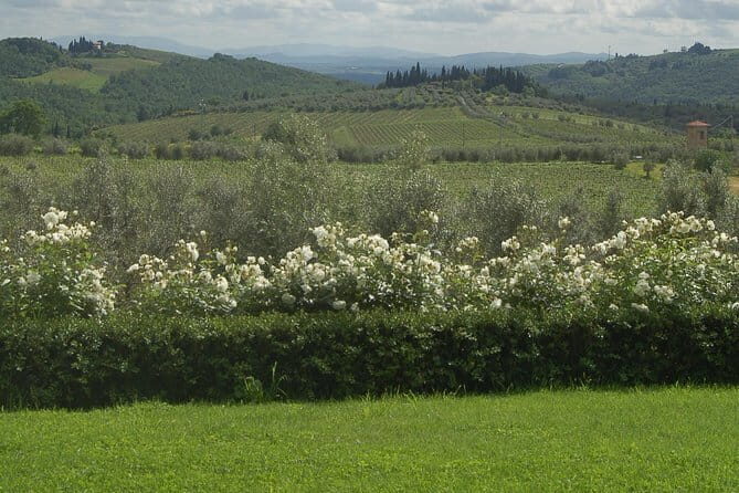 Discover Chianti Through its Wines - Key Things I’d Remember About Casa Sola’s Chianti Wines