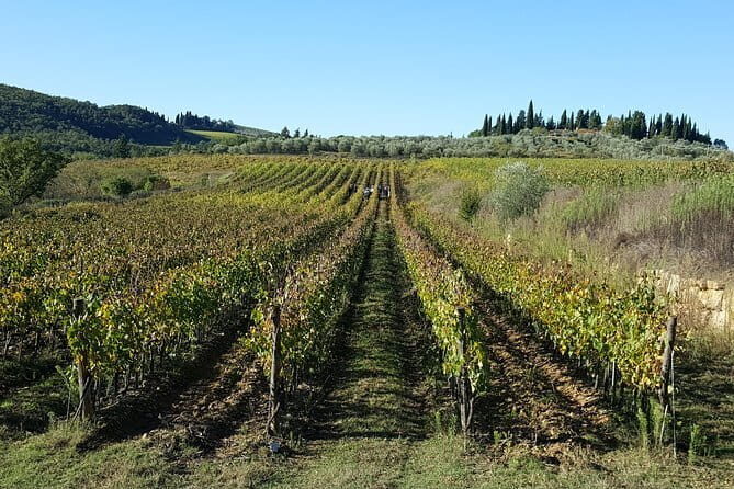 Discover Chianti Through its Wines - Where Casa Sola Starts: A Direct Taste of Chianti Near Florence
