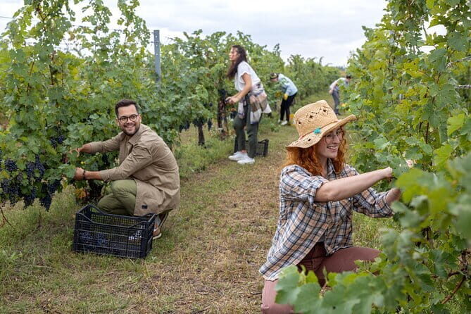 Discover Chianti Through its Wines - Who This Chianti Tour Suits Best