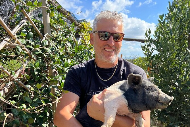 Discover Montepulciano: Cinta Senese Pigs, Lunch & wine in a Farm - Quick reasons this Montepulciano farm tour gets top marks