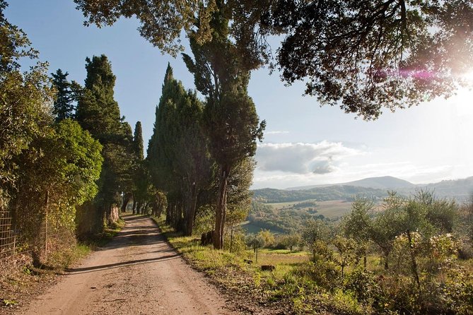 Discover Montepulciano: Cinta Senese Pigs, Lunch & wine in a Farm - Price and group size: small group, focused day