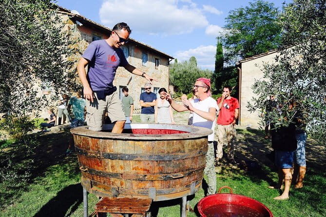 Discover Organic and Biodynamic Chianti Small Wineries - Key Things to Know Before You Go