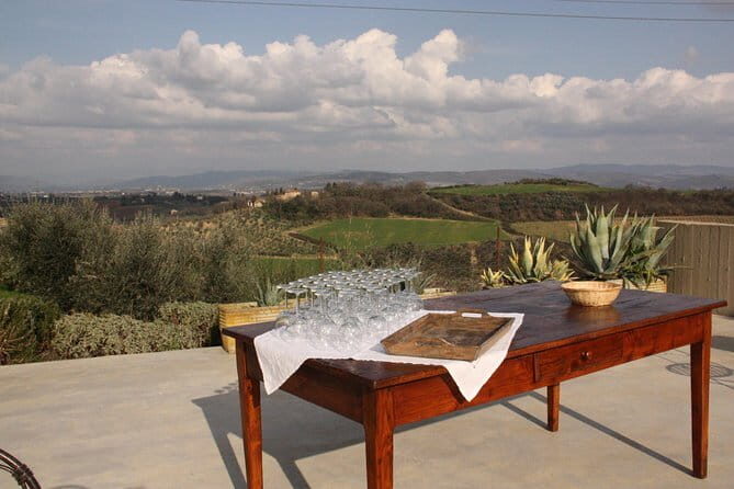 Discover Organic and Biodynamic Chianti Small Wineries - Tuscan Lunch Included: Food That Makes the Wine Make Sense