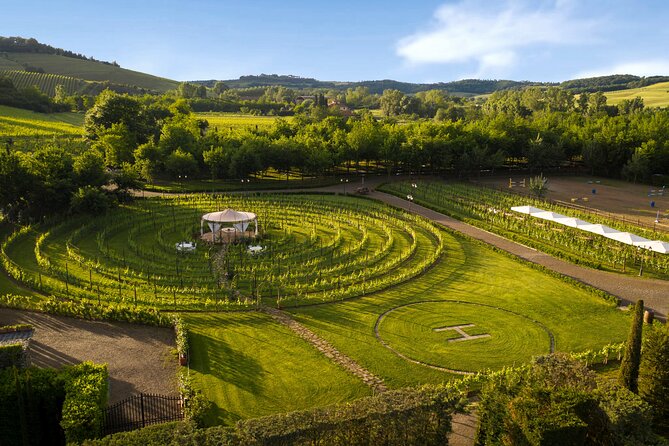 Discover San Gimignano from Livorno - Tenuta Torciano: Four Courses, Wine, Olive Oil, and Balsamic